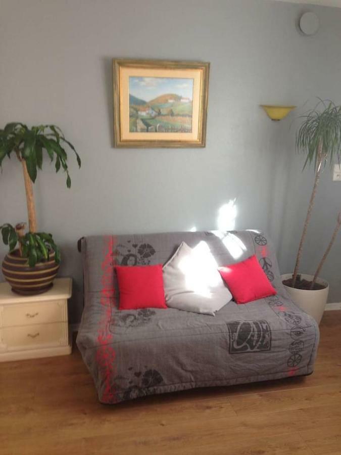 Petit Appartement Douillet Tres Bien Situe Μπιαρίτζ Εξωτερικό φωτογραφία